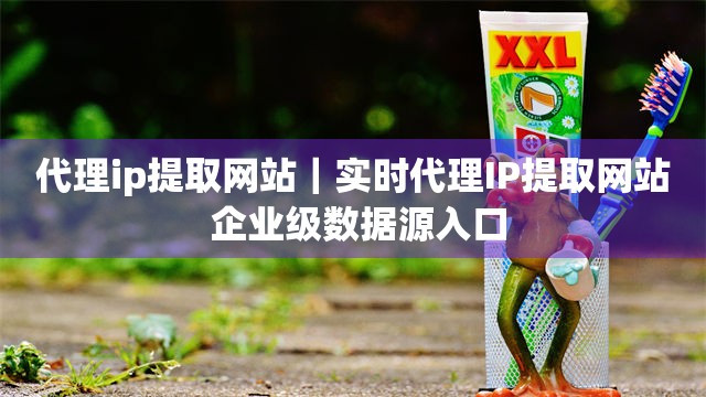 代理ip提取网站｜实时代理IP提取网站 企业级数据源入口