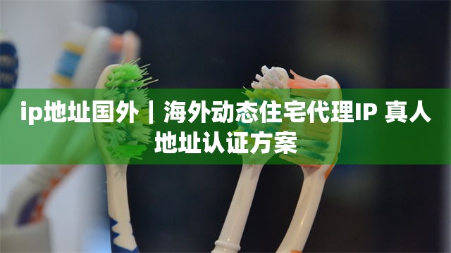 ip地址国外｜海外动态住宅代理IP 真人地址认证方案