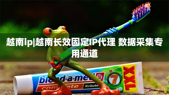 越南ip|越南长效固定IP代理 数据采集专用通道