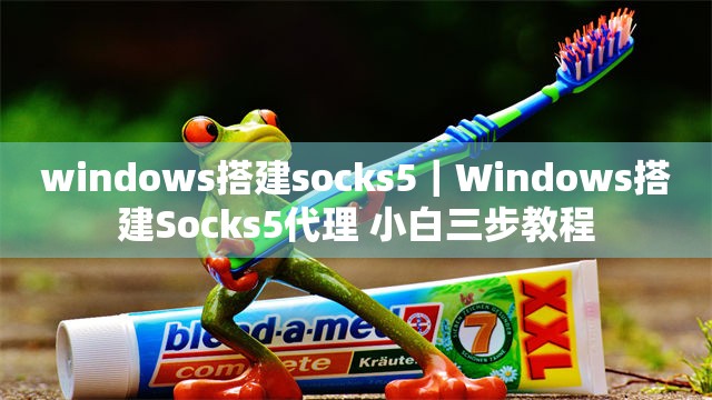 windows搭建socks5｜Windows搭建Socks5代理 小白三步教程
