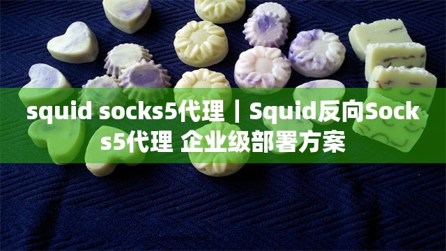 squid socks5代理｜Squid反向Socks5代理 企业级部署方案
