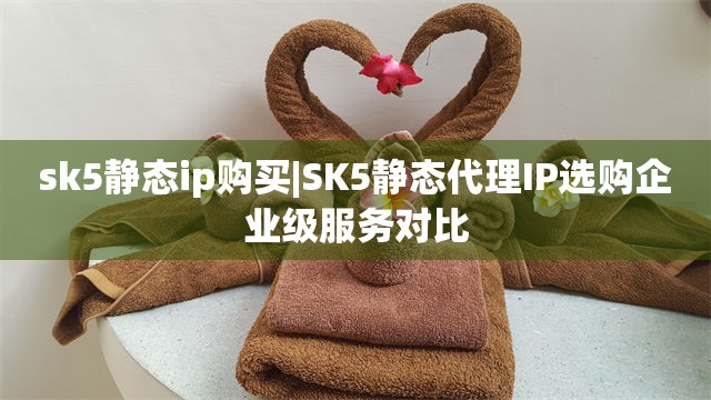 sk5静态ip购买|SK5静态代理IP选购企业级服务对比