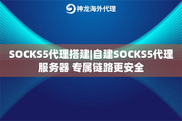 SOCKS5代理搭建|自建SOCKS5代理服务器 专属链路更安全