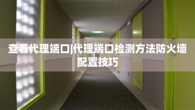 查看代理端口|代理端口检测方法防火墙配置技巧
