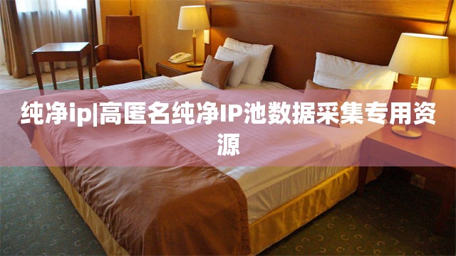 纯净ip|高匿名纯净IP池数据采集专用资源