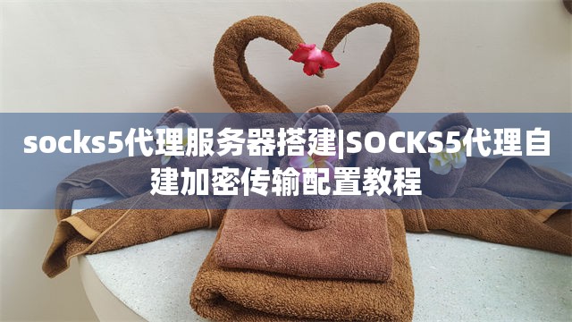 socks5代理服务器搭建|SOCKS5代理自建加密传输配置教程