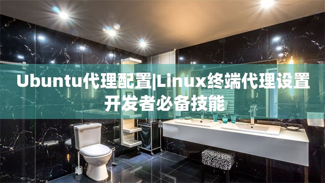 Ubuntu代理配置|Linux终端代理设置 开发者必备技能
