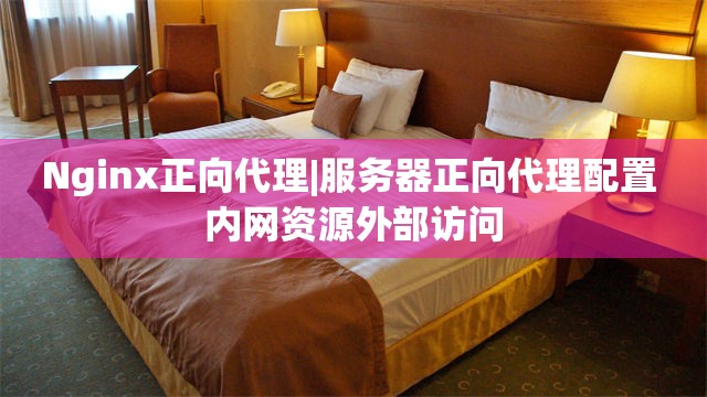 Nginx正向代理|服务器正向代理配置 内网资源外部访问
