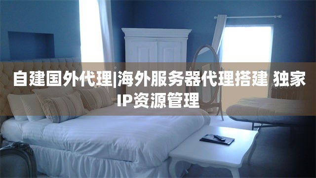 自建国外代理|海外服务器代理搭建 独家IP资源管理