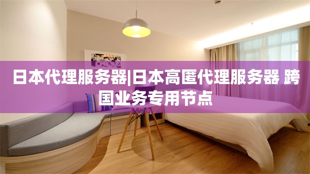 日本代理服务器|日本高匿代理服务器 跨国业务专用节点