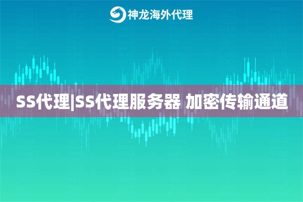 SS代理|SS代理服务器 加密传输通道