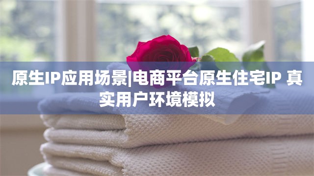原生IP应用场景|电商平台原生住宅IP 真实用户环境模拟