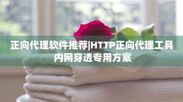 正向代理软件推荐|HTTP正向代理工具 内网穿透专用方案