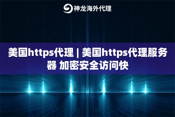 美国https代理 | 美国https代理服务器 加密安全访问快