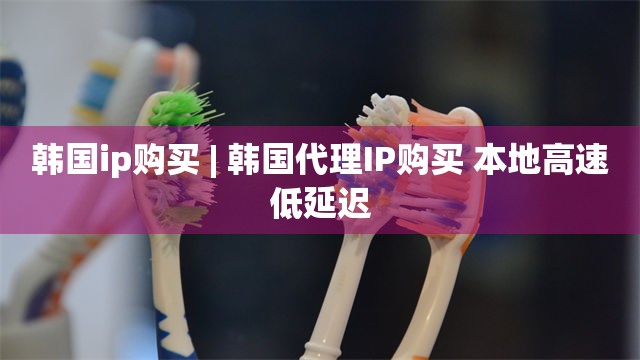 韩国ip购买 | 韩国代理IP购买 本地高速低延迟