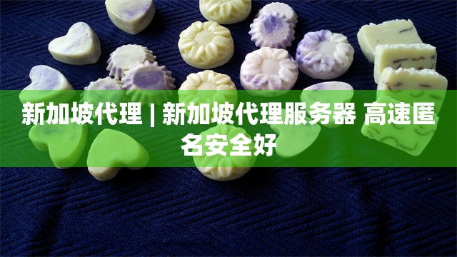 新加坡代理 | 新加坡代理服务器 高速匿名安全好