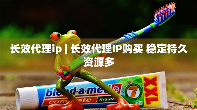 长效代理ip | 长效代理IP购买 稳定持久资源多