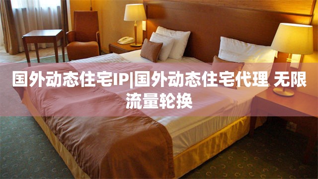 国外动态住宅IP|国外动态住宅代理 无限流量轮换