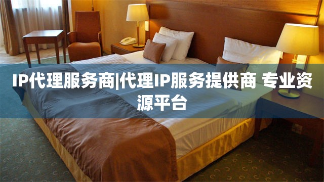 IP代理服务商|代理IP服务提供商 专业资源平台
