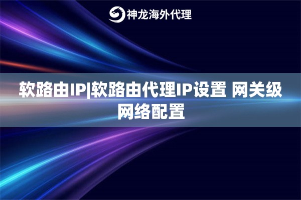软路由IP|软路由代理IP设置 网关级网络配置