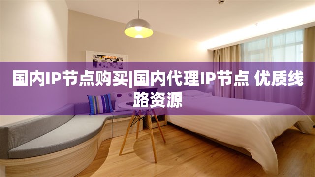 国内IP节点购买|国内代理IP节点 优质线路资源