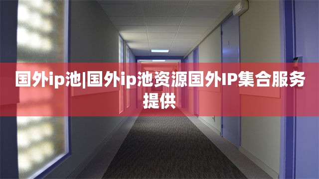 国外ip池|国外ip池资源国外IP集合服务提供