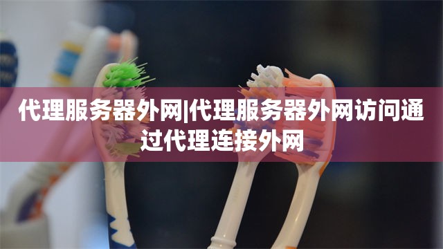 代理服务器外网|代理服务器外网访问通过代理连接外网