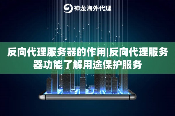 反向代理服务器的作用|反向代理服务器功能了解用途保护服务