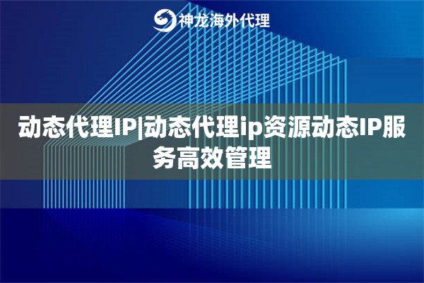动态代理IP|动态代理ip资源动态IP服务高效管理