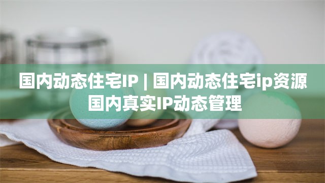 国内动态住宅IP | 国内动态住宅ip资源 国内真实IP动态管理