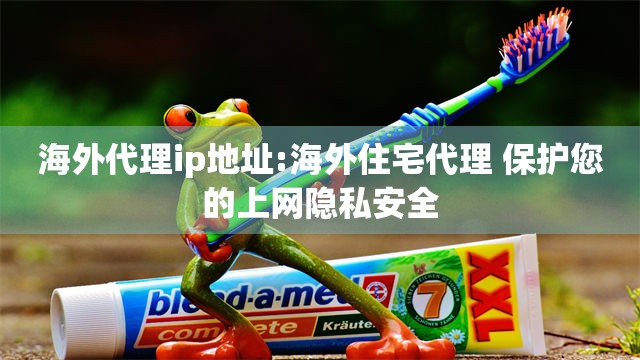 海外代理ip地址:海外住宅代理 保护您的上网隐私安全