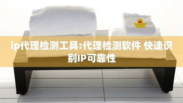 ip代理检测工具:代理检测软件 快速识别IP可靠性