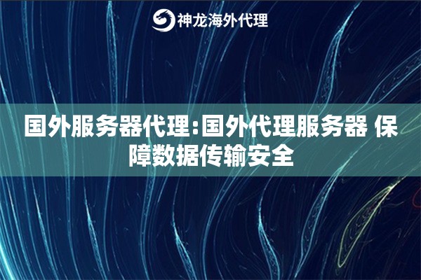 国外服务器代理:国外代理服务器 保障数据传输安全