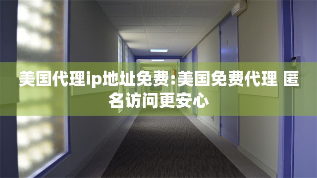 美国代理ip地址免费:美国免费代理 匿名访问更安心