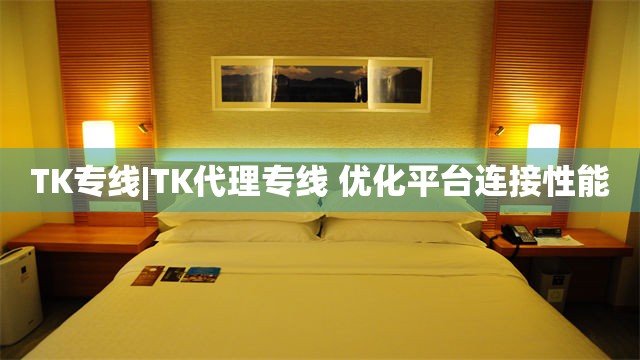 TK专线|TK代理专线 优化平台连接性能