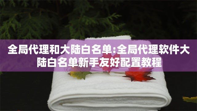 全局代理和大陆白名单:全局代理软件大陆白名单新手友好配置教程