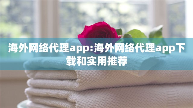 海外网络代理app:海外网络代理app下载和实用推荐