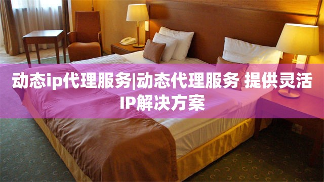 动态ip代理服务|动态代理服务 提供灵活IP解决方案