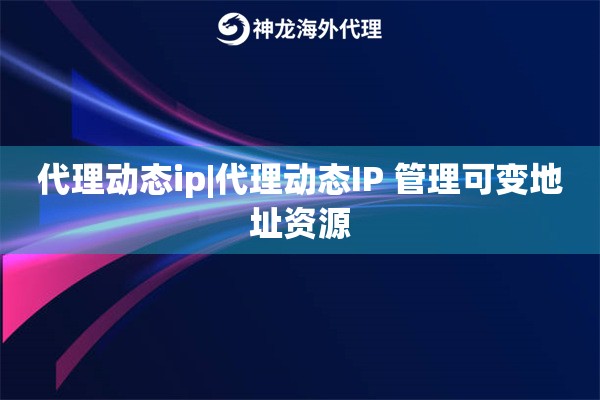 代理动态ip|代理动态IP 管理可变地址资源