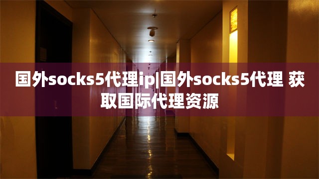 国外socks5代理ip|国外socks5代理 获取国际代理资源