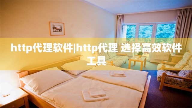 http代理软件|http代理 选择高效软件工具