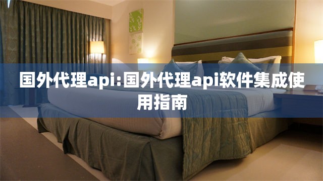 国外代理api:国外代理api软件集成使用指南