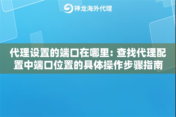 代理设置的端口在哪里: 查找代理配置中端口位置的具体操作步骤指南