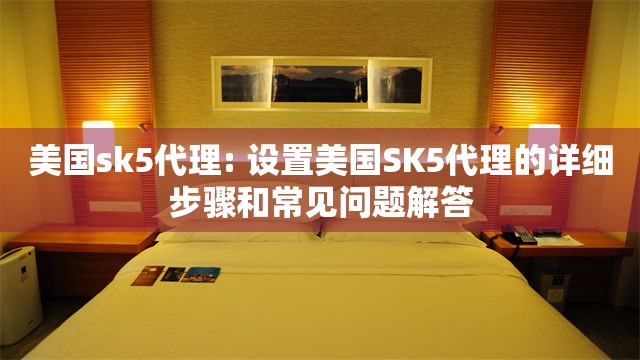 美国sk5代理: 设置美国SK5代理的详细步骤和常见问题解答