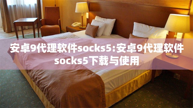 安卓9代理软件socks5:安卓9代理软件socks5下载与使用