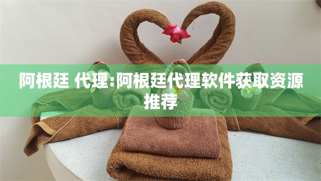 阿根廷 代理:阿根廷代理软件获取资源推荐