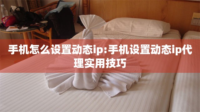 手机怎么设置动态ip:手机设置动态ip代理实用技巧
