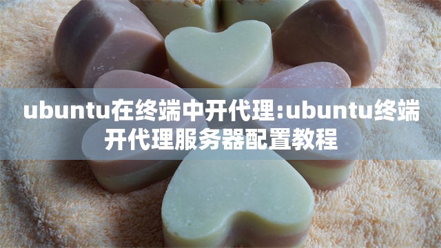 ubuntu在终端中开代理:ubuntu终端开代理服务器配置教程