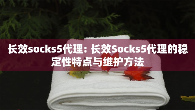 长效socks5代理: 长效Socks5代理的稳定性特点与维护方法