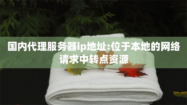 国内代理服务器ip地址:位于本地的网络请求中转点资源
